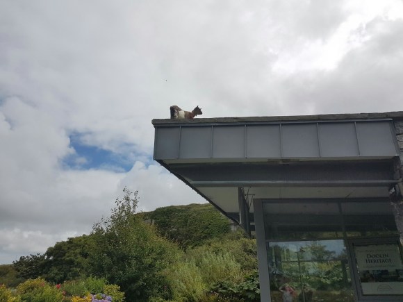 download_20170807_145239