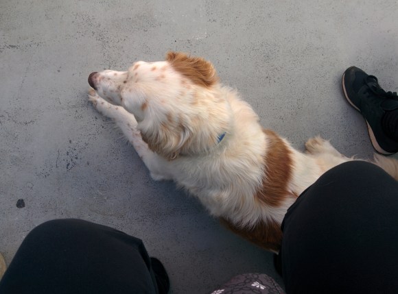 IMG_20170809_094447-1